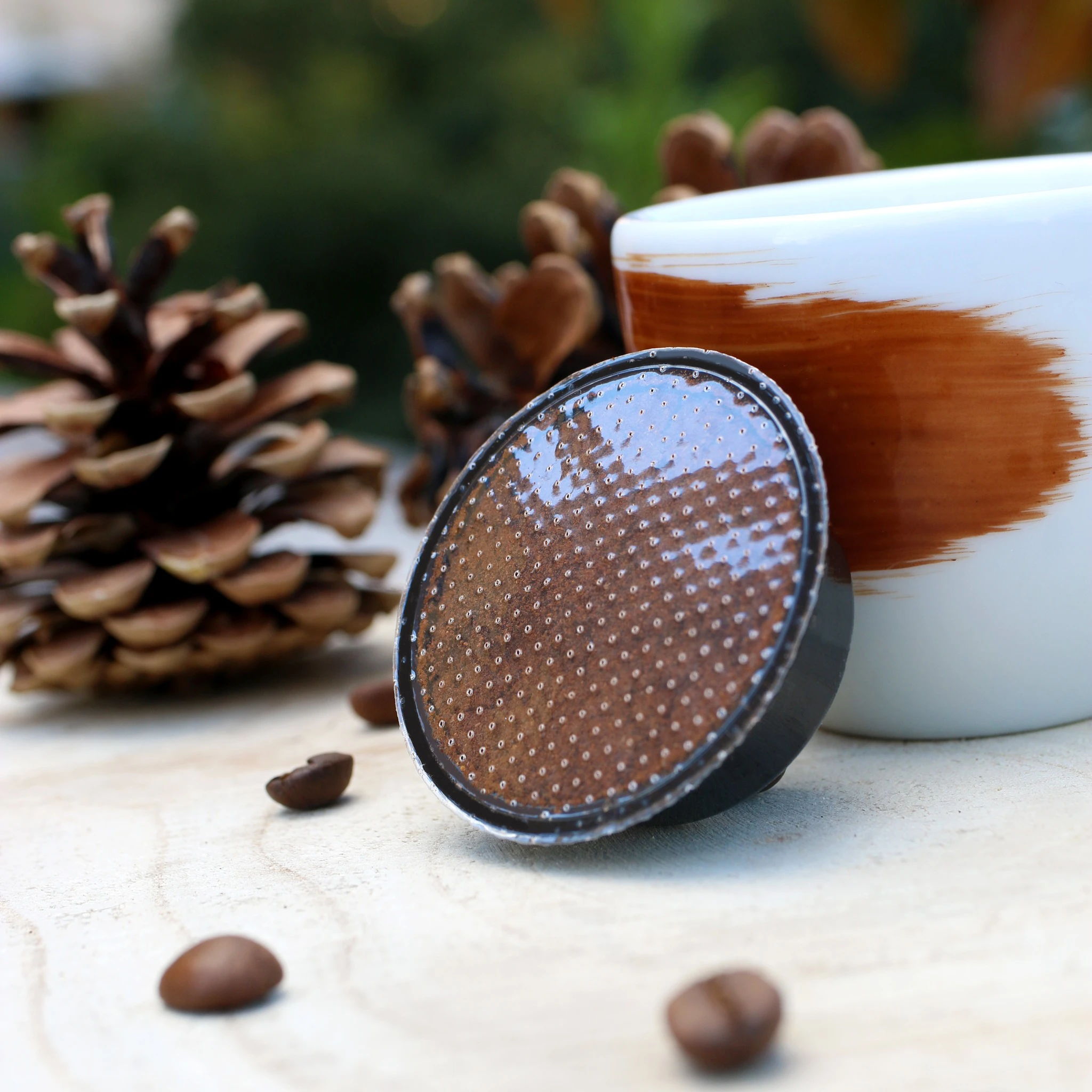 309709629-455492509976506-4905572416337543724-n